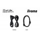 IIyama ProLite XB2491H-B1