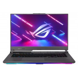 Asus ROG Strix G17 G713PI-LL131W