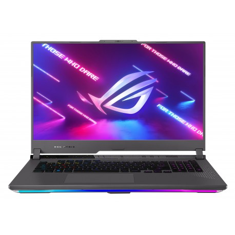Asus ROG Strix G17 G713PI-LL131W