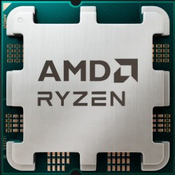 AMD Ryzen 5 5500F Tray