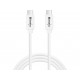 Sandberg USB-C to C 3.2 100W 1 Mètre